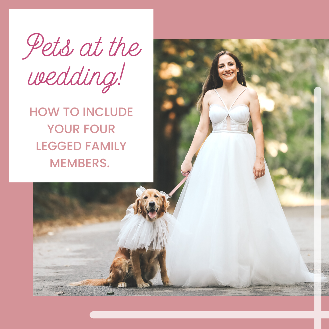 Pets at the Wedding! How to Include your Four-Legged Family Members