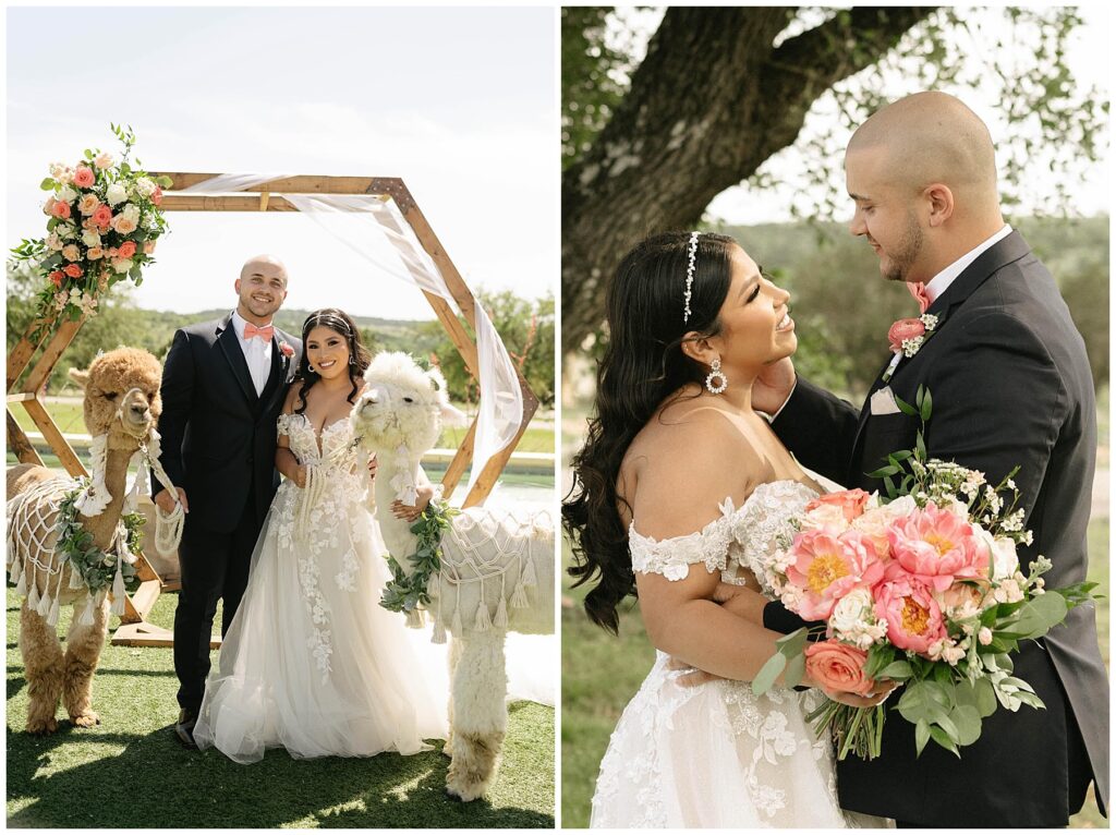 bride and groom posing with llamas wearing crochet tops at camp hideaway in texas 