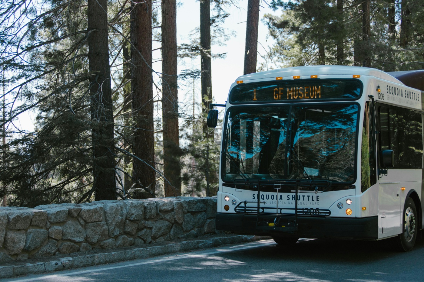 Sequoia Shuttle bus in the woods